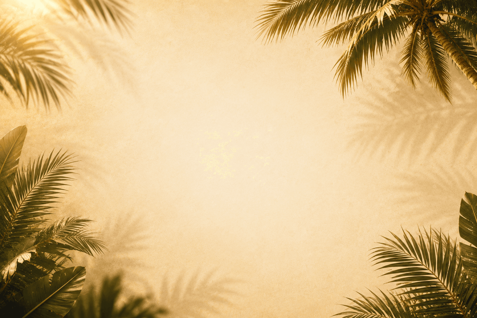 Background Tropical Premium Santo Jack - Luz Dourada e Folhas Tropicais da Orla Carioca